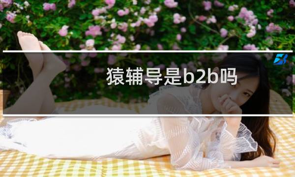 猿辅导是b2b吗