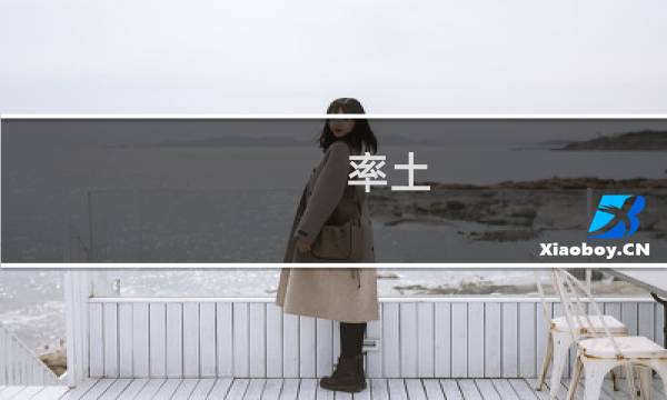 率土 攻略