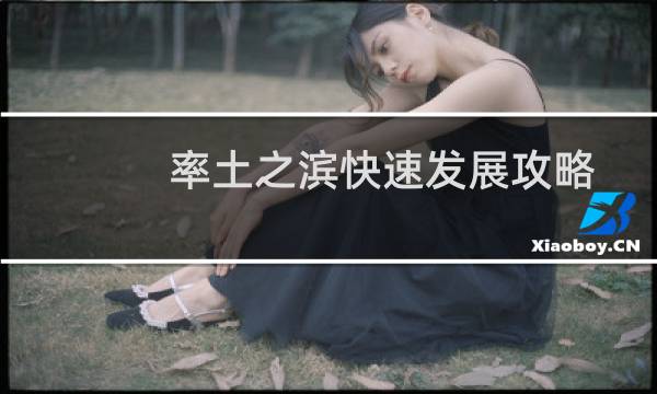 率土之滨快速发展攻略