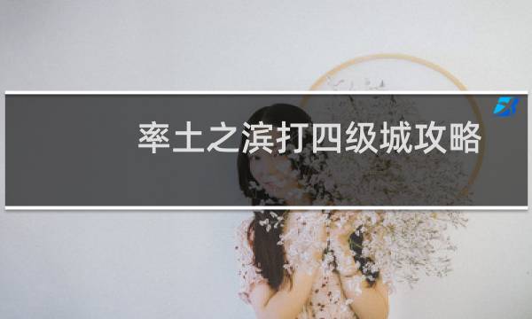 率土之滨打四级城攻略