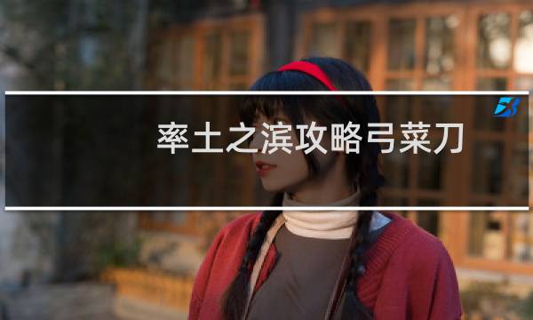 率土之滨攻略弓菜刀