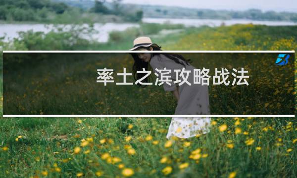 率土之滨攻略战法