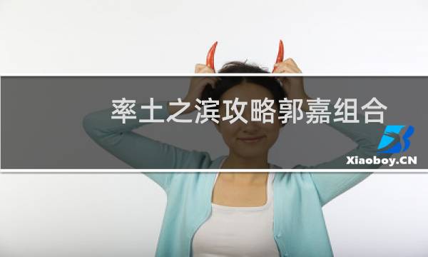 率土之滨攻略郭嘉组合