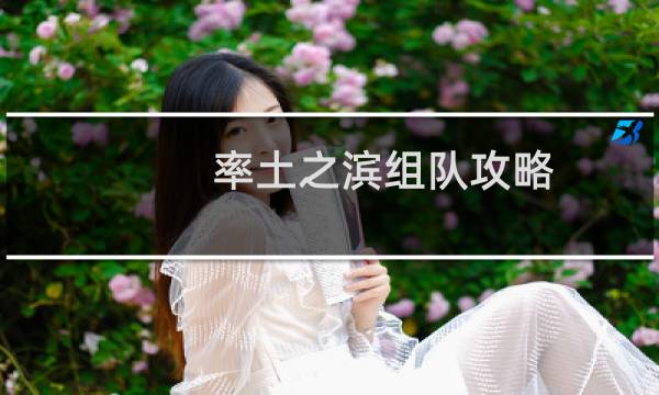 率土之滨组队攻略