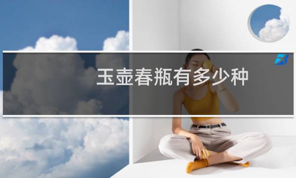 玉壶春瓶有多少种