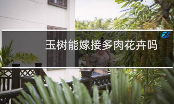 玉树能嫁接多肉花卉吗