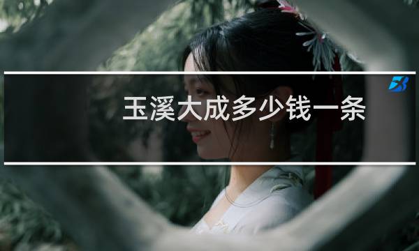 玉溪大成多少钱一条