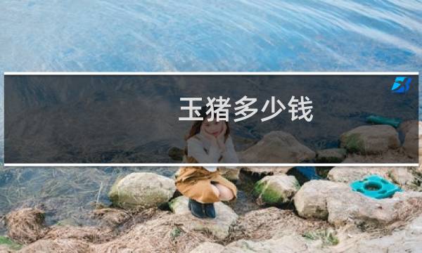 玉猪多少钱