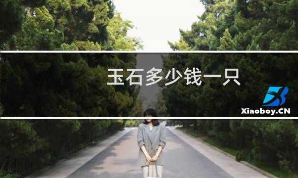 玉石多少钱一只