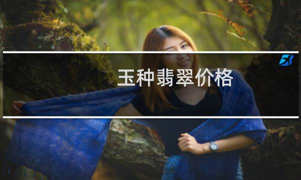 玉种翡翠价格