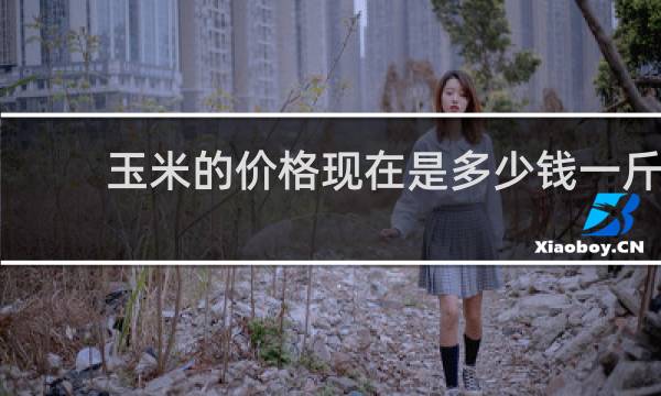 玉米的价格现在是多少钱一斤
