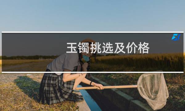 玉镯挑选及价格