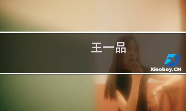 王一品 价格