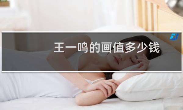 王一鸣的画值多少钱
