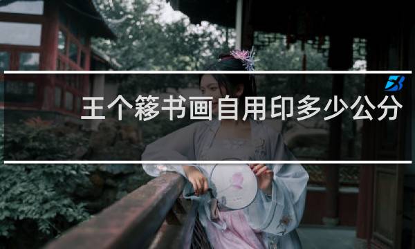 王个簃书画自用印多少公分
