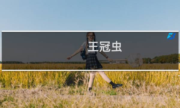 王冠虫 价格