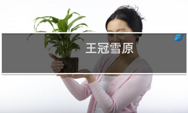 王冠雪原 攻略