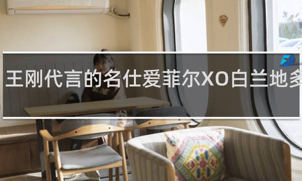 王刚代言的名仕爱菲尔XO白兰地多少钱