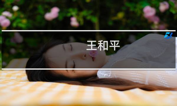 王和平 价格