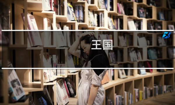 王国 新手攻略