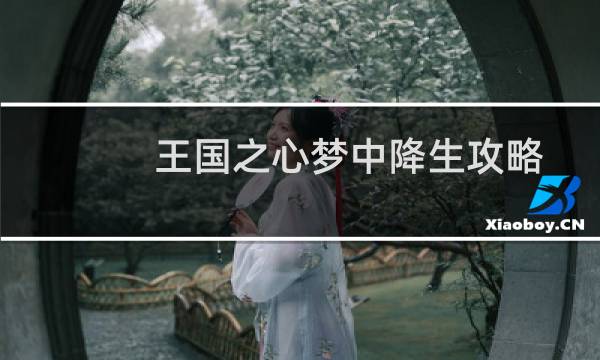 王国之心梦中降生攻略