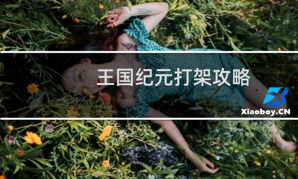 王国纪元打架攻略
