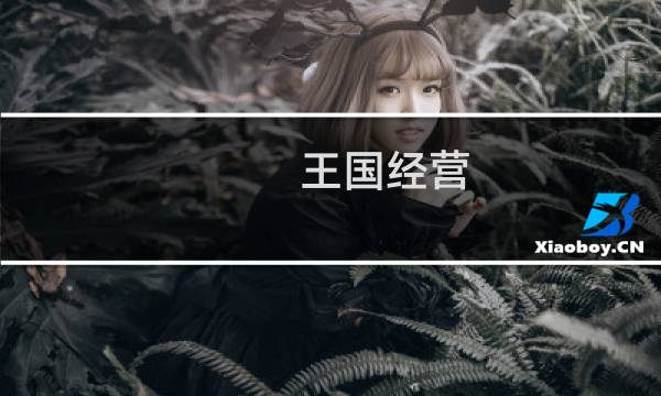 王国经营 攻略