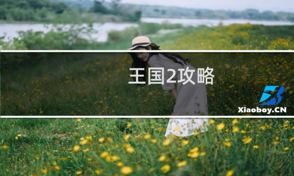 王国2攻略