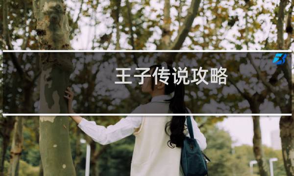 王子传说攻略