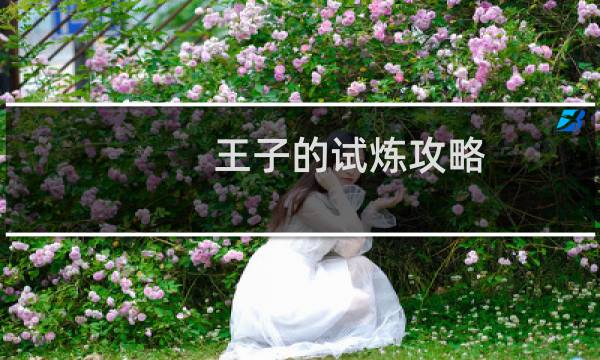 王子的试炼攻略