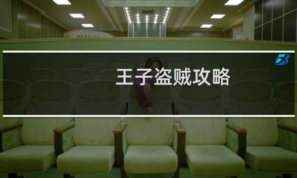 王子盗贼攻略