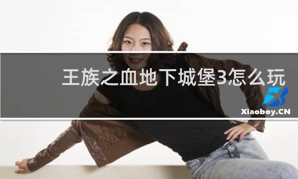 王族之血地下城堡3怎么玩