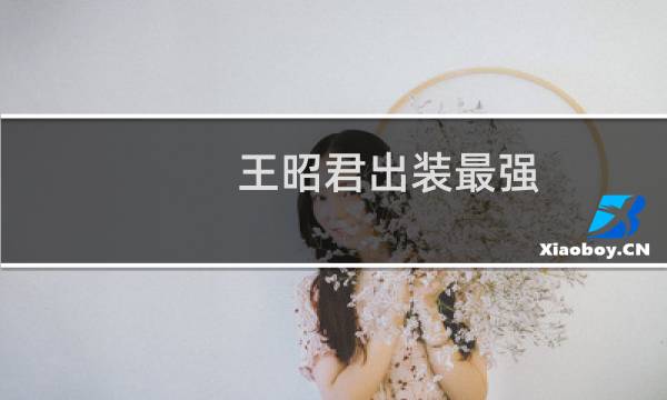 王昭君出装最强