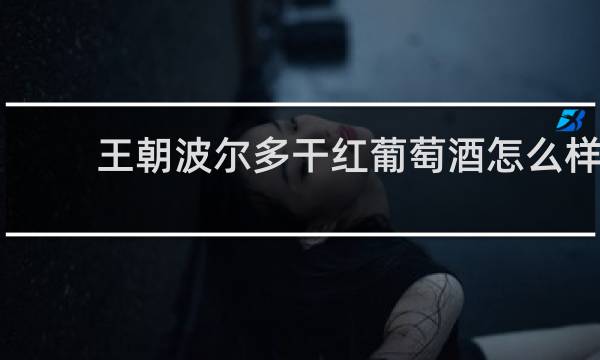王朝波尔多干红葡萄酒怎么样