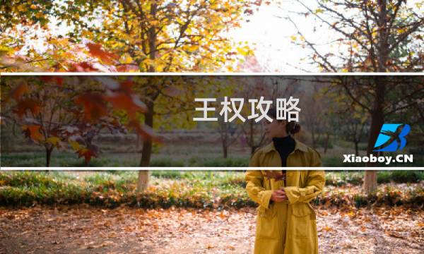 王权攻略 重新