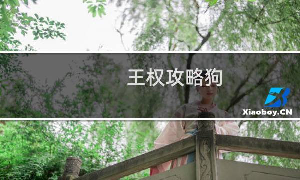 王权攻略狗