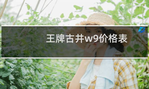 王牌古井w9价格表
