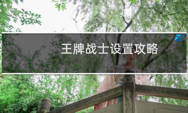 王牌战士设置攻略
