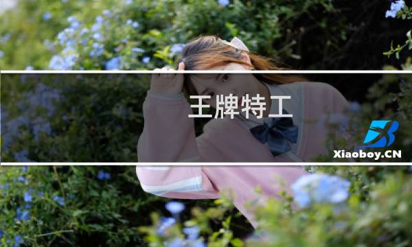 王牌特工 攻略
