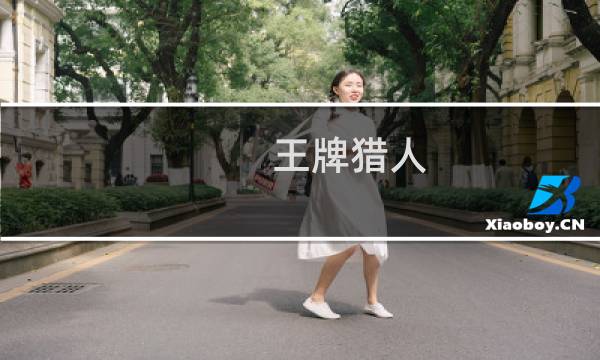 王牌猎人 攻略