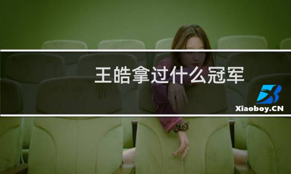 王皓拿过什么冠军