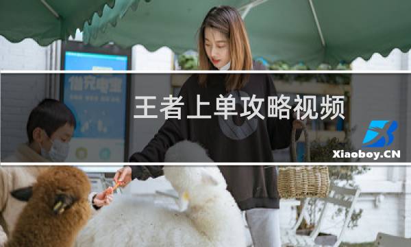 王者上单攻略视频