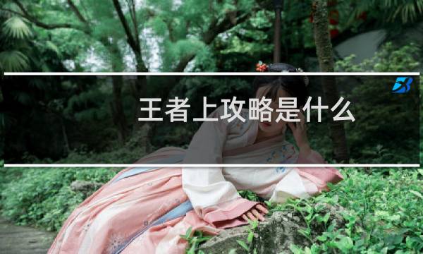 王者上攻略是什么