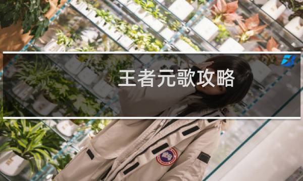 王者元歌攻略