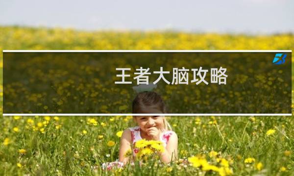 王者大脑攻略