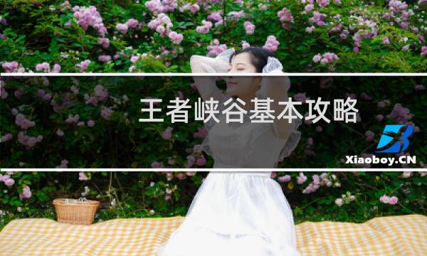 王者峡谷基本攻略