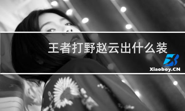 王者打野赵云出什么装