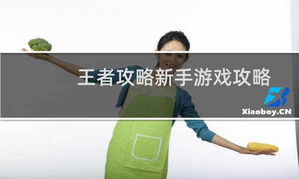 王者攻略新手游戏攻略