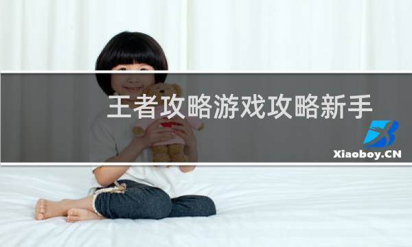王者攻略游戏攻略新手
