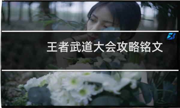 王者武道大会攻略铭文